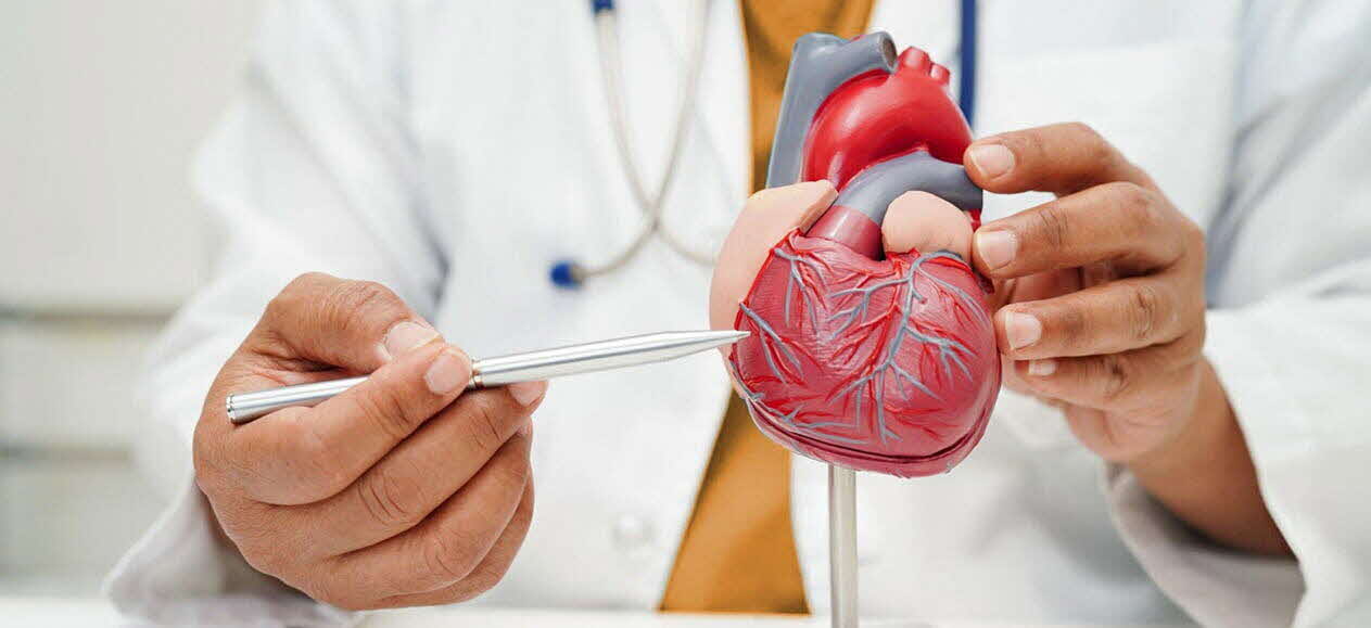 Protecting Our Heart Health: Awareness and Prevention 