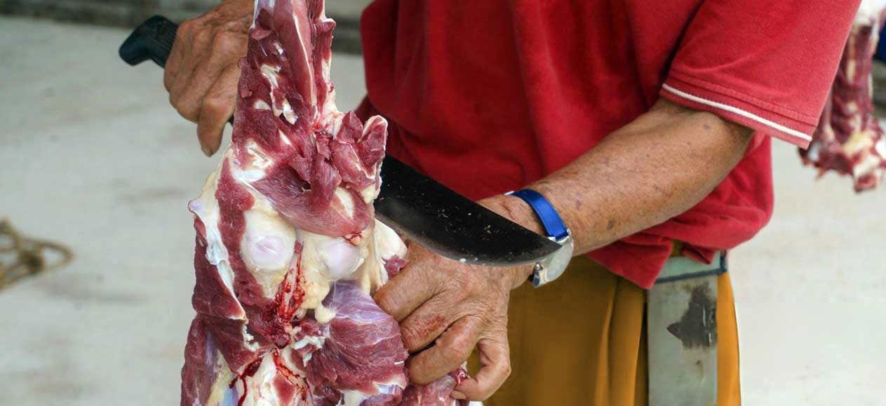 Understanding qurban: process, wisdom, and significance
