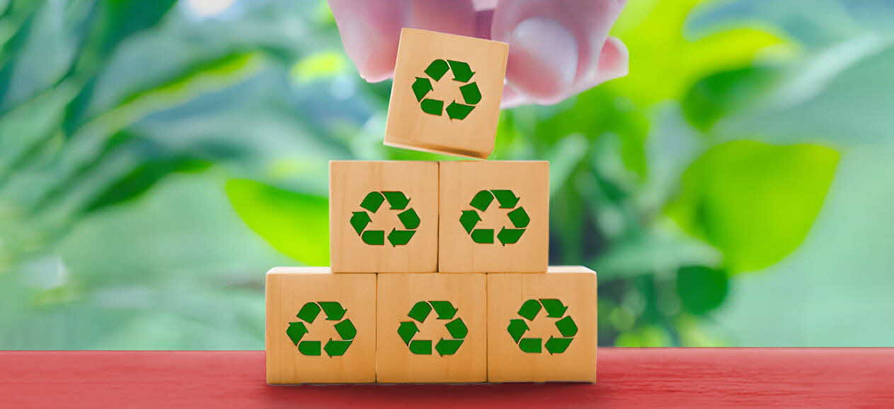 Sustainable Living: How Eco-Friendly Habits Benefit Your Health & Wealth